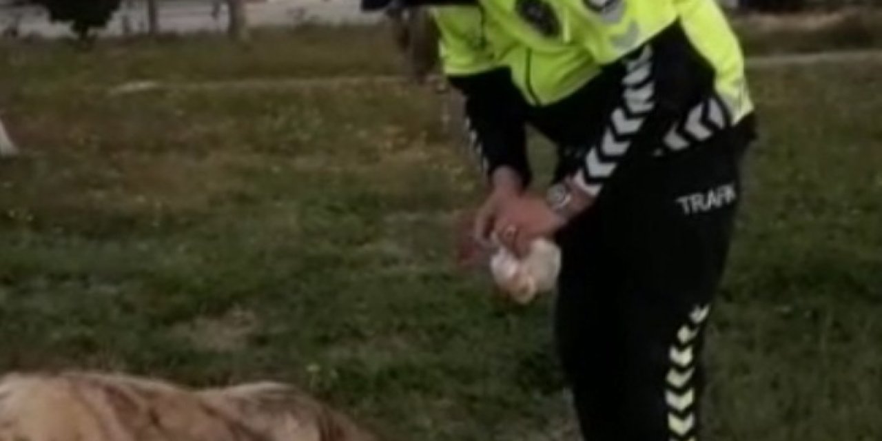 Polisin Hayvan Sevgisi