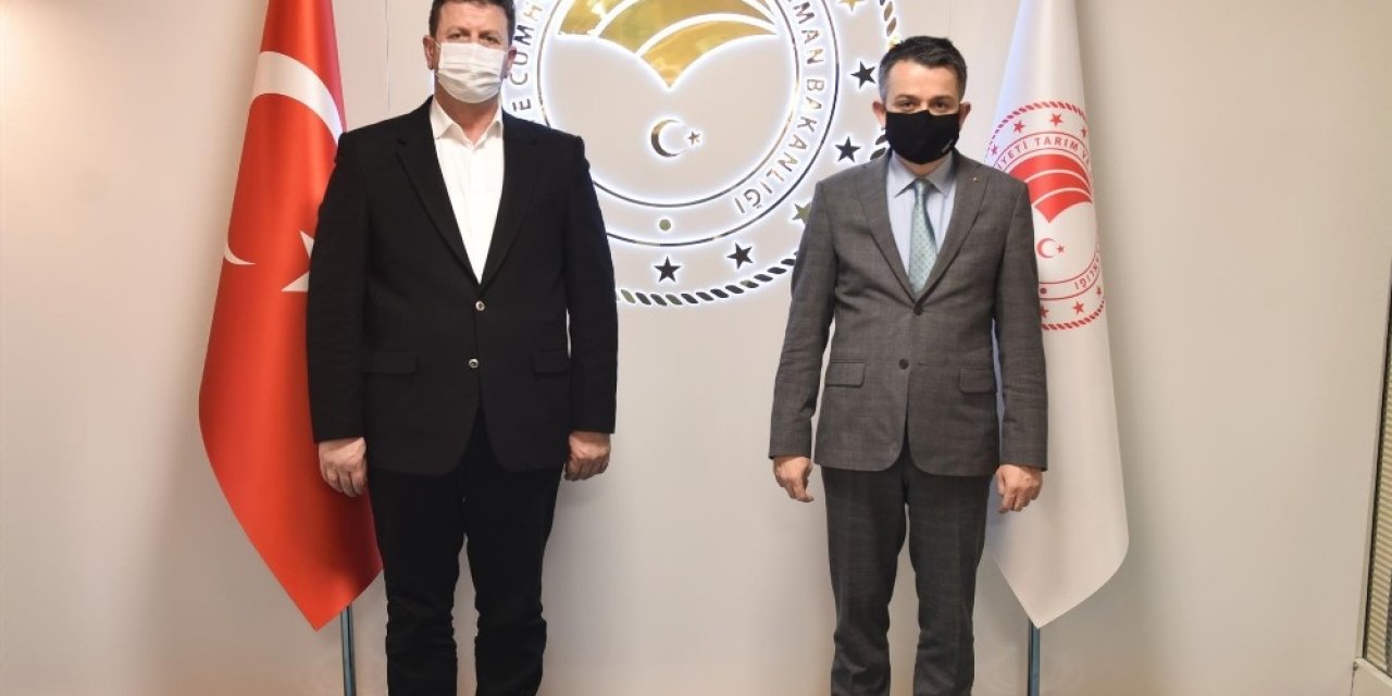 Tarım Ve Orman Bakanlığında Akyazı’ya Kazandırılacak Yatırım Ve Projeler Konuşuldu