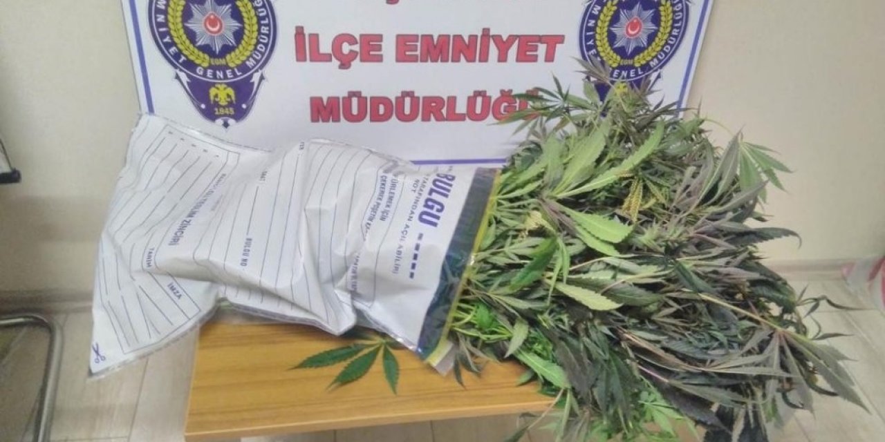 Çatı Katında Uyuşturucu Yetiştiren Şahıs Polise Yakalandı