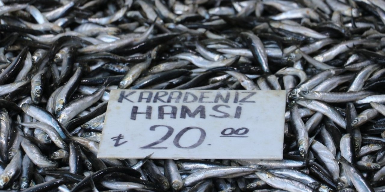 Yasak Uzatıldı, Sevenleri Dondurulmuş Hamsiyle Yetinmek Zorunda Kaldı