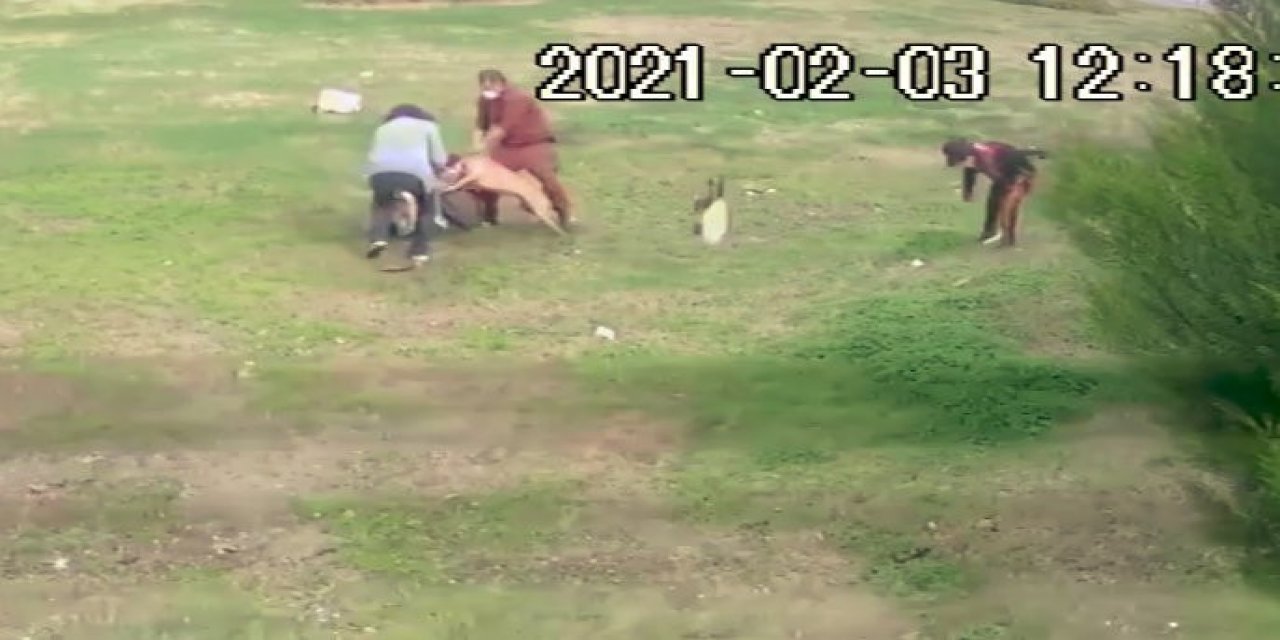 Antalya’da Pitbull Dehşeti