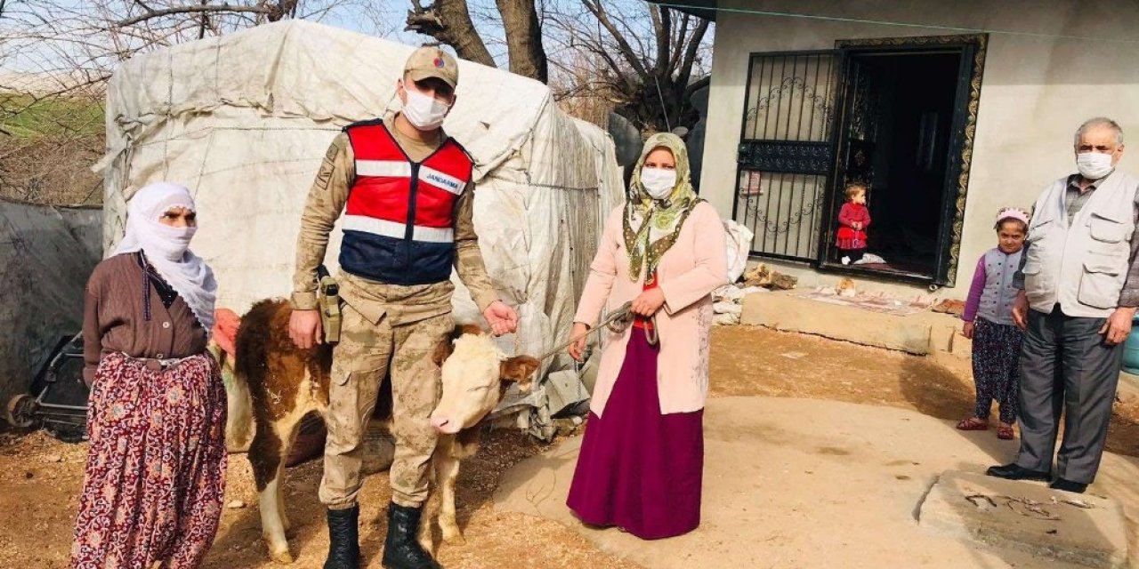 Jasat, Hayvan Hırsızlığı Olayını Aydınlattı