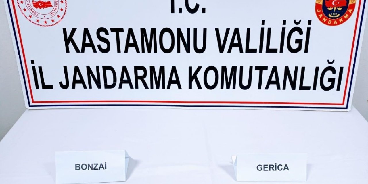 Kastamonu’da 40 Adet Uyuşturucu Hap Ele Geçirildi