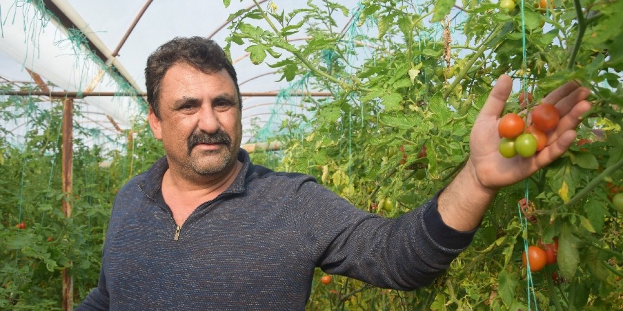 Çiftçilerin Aracı Tepkisi: “emeği Biz Veriyoruz Parayı Aracılar Kazanıyor”