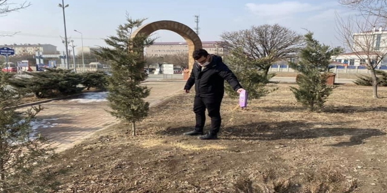 Sokak Hayvanları İçin Doğaya Yem Bıraktı