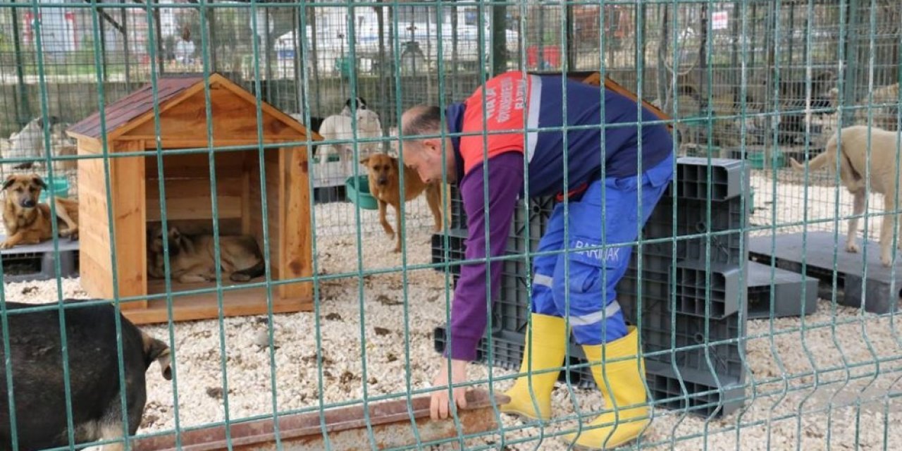 Hatay Büyükşehir Belediyesi, Yayladağı’na Yeni Hayvan Barınağı Açıyor