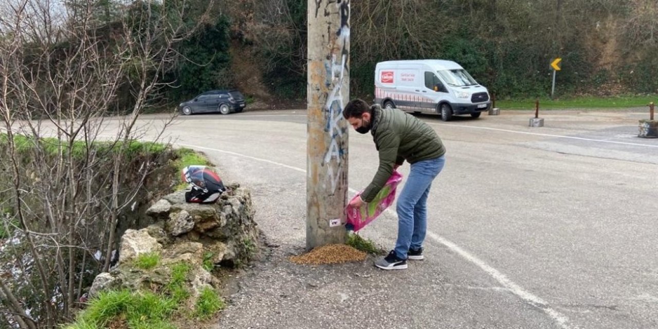 Gençler, Sokak Hayvanlarını Unutmadı
