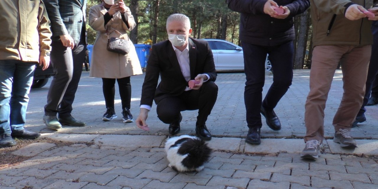 Vali Gül Kısıtlamada Sokak Hayvanlarını Yalnız Bırakmadı