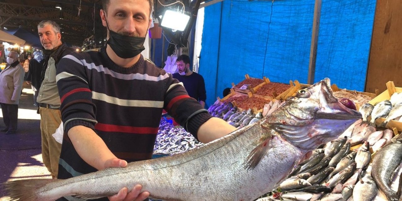 Bursa’da 6 Kiloluk Dev Mezgidi Görenler Gözlerine İnanamadı