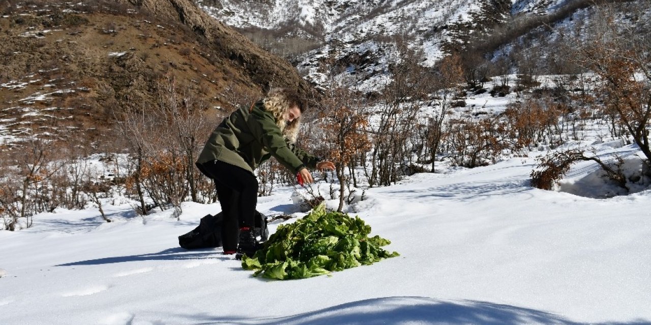Kato Dağı’ndaki Yaban Hayvanları İçin Doğaya Yem Bırakıldı
