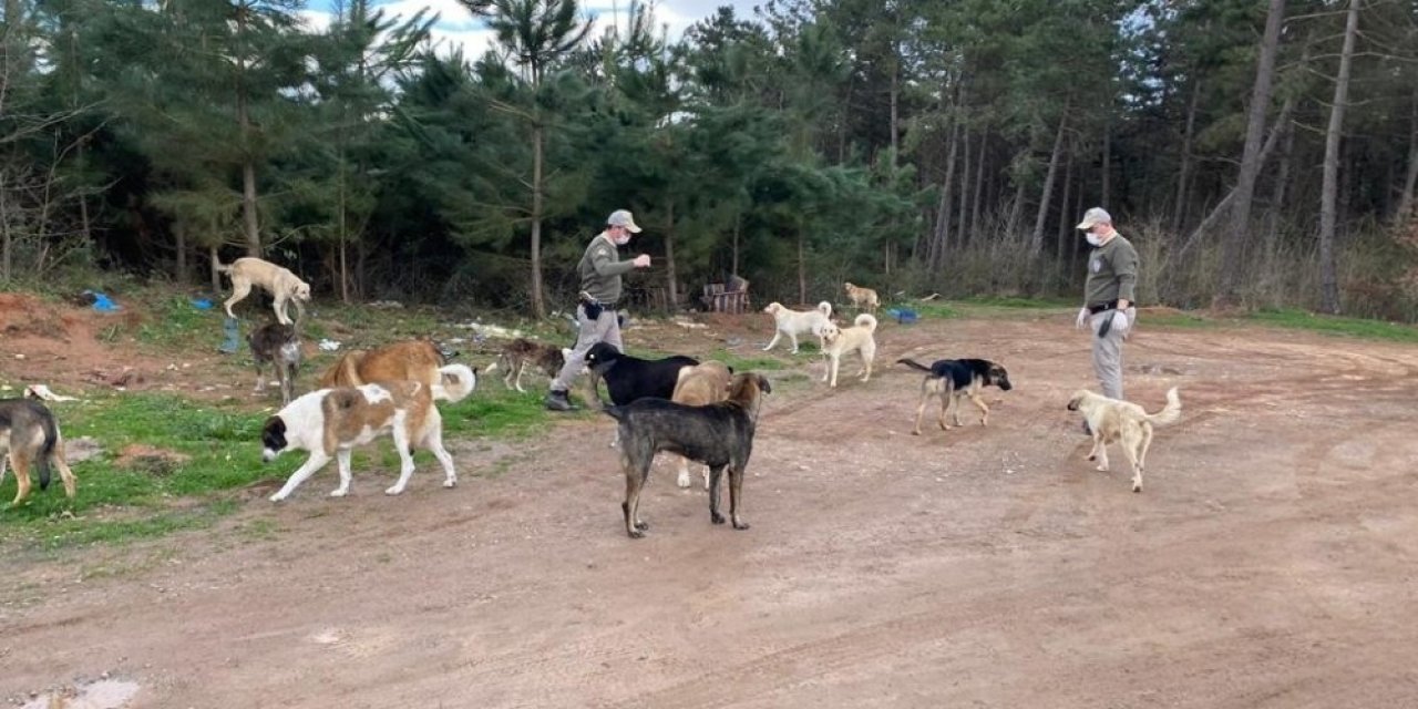 Sakarya Polisi Şehrin Dört Bir Yanında