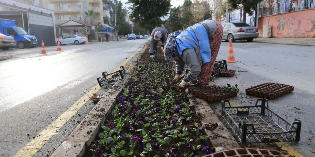 Pamukkale Belediyesi Süs Bitkilerini Kendi Yetiştiriyor