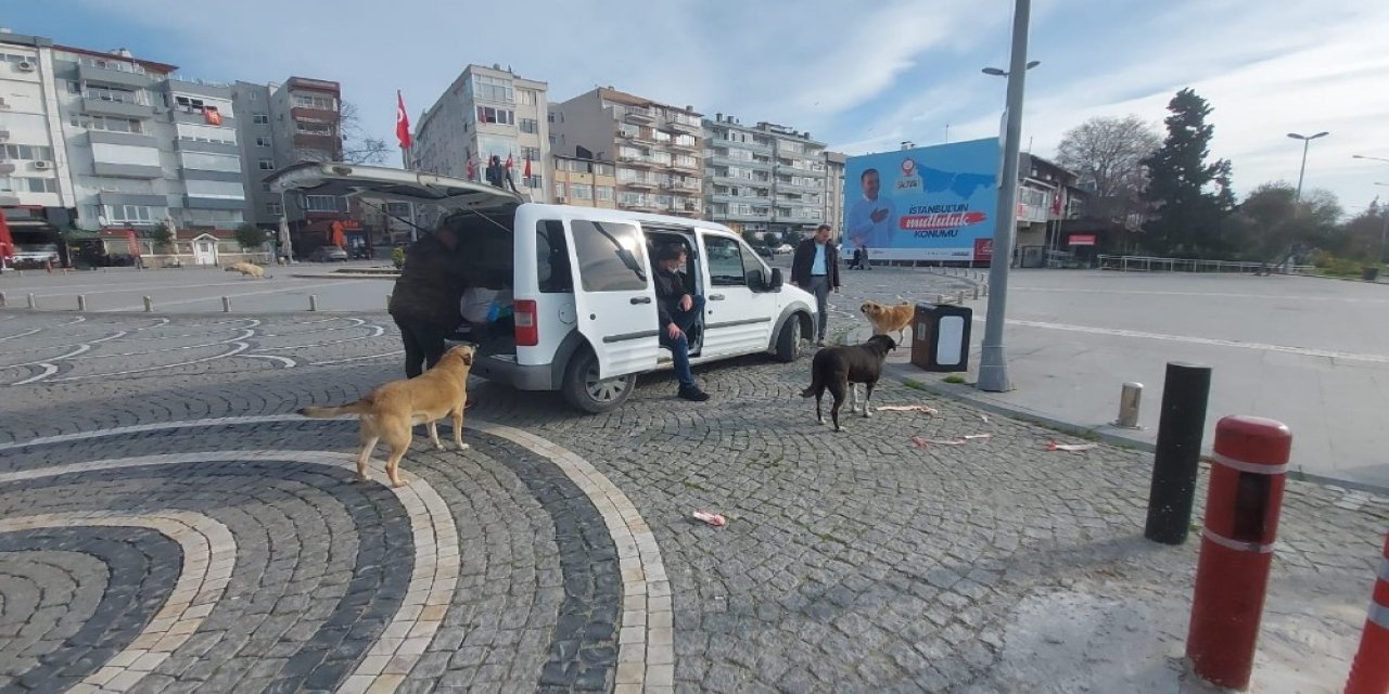 Polisler Kısıtlamada Sokak Hayvanlarını Besledi