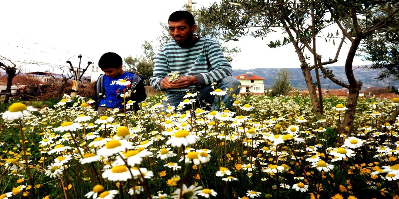 Doğuda Kara Kış Manisa’da Bahar