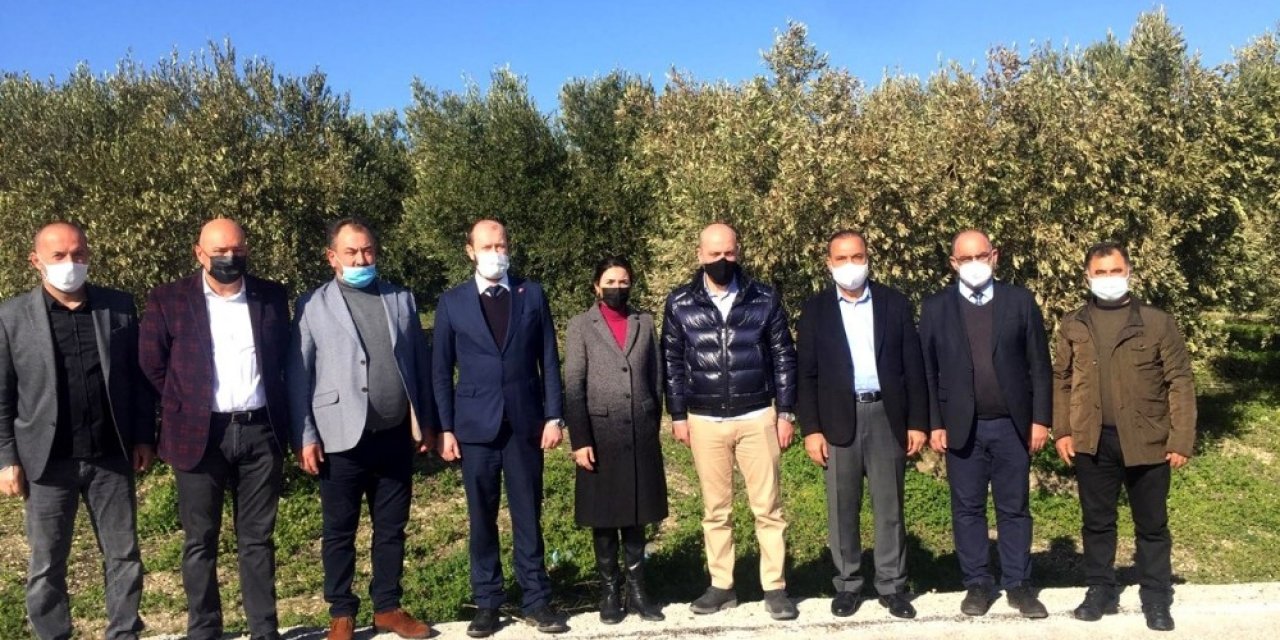 Milletvekili Işık Zeytincileri Dinledi