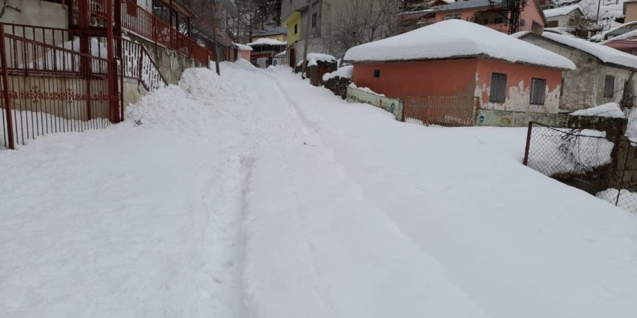 Kar Görmeye Gitmek Pahalıya Patladı