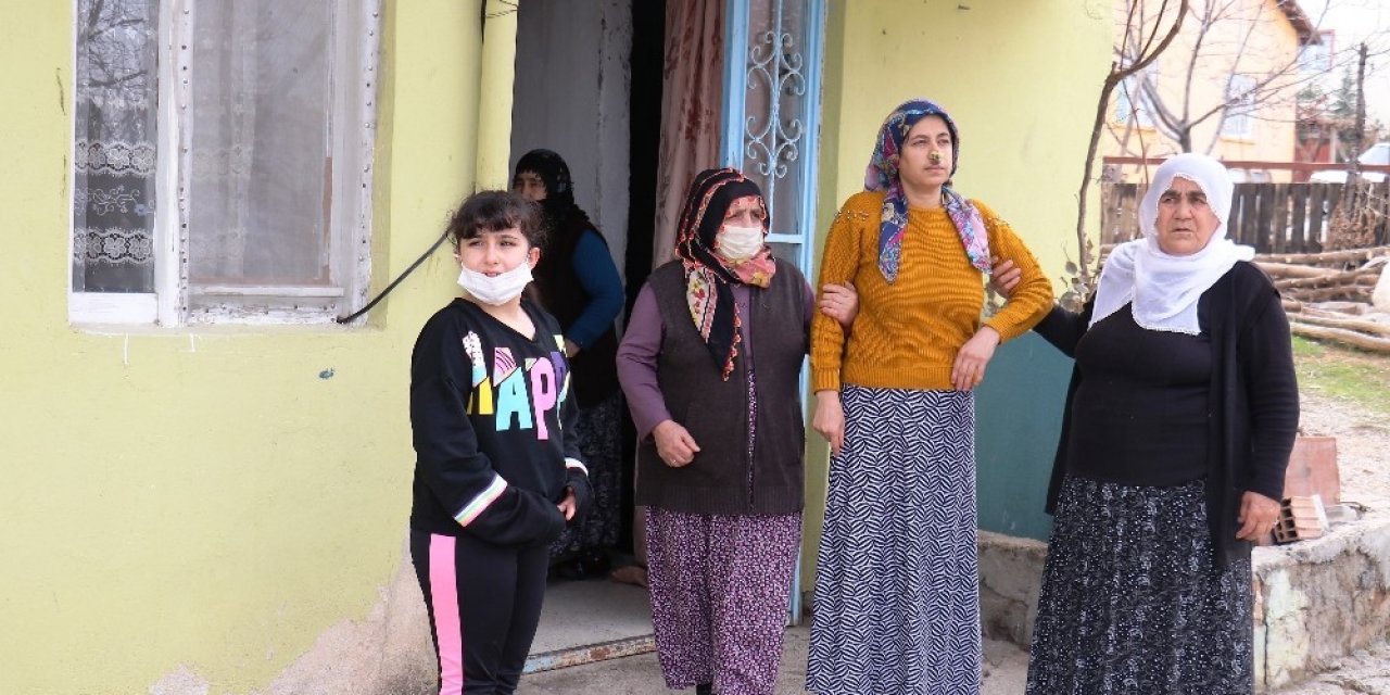 Sokak Köpeklerinin Saldırdığı Kadın Yaralandı