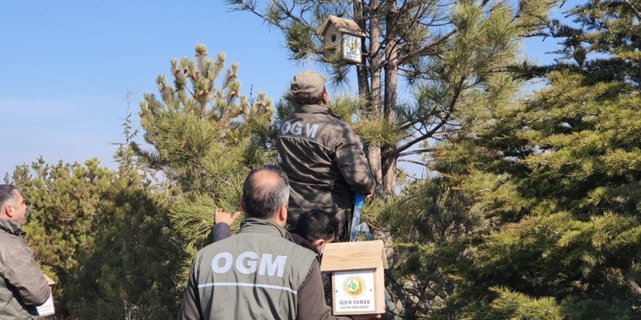 15 Temmuz Şehitler Ormanına Kuşlar İçin Yuva Bırakıldı