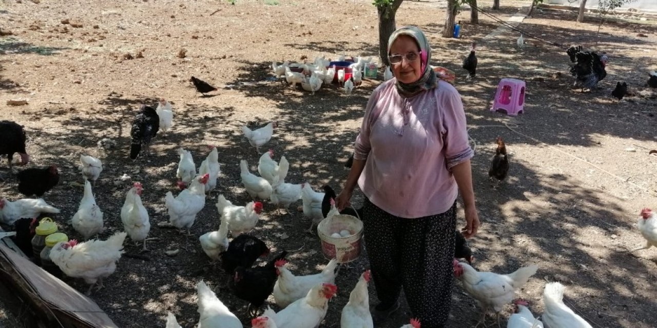 Mikrokredi Kırsalda Da Kadınların Hayatlarını Değiştiriyor
