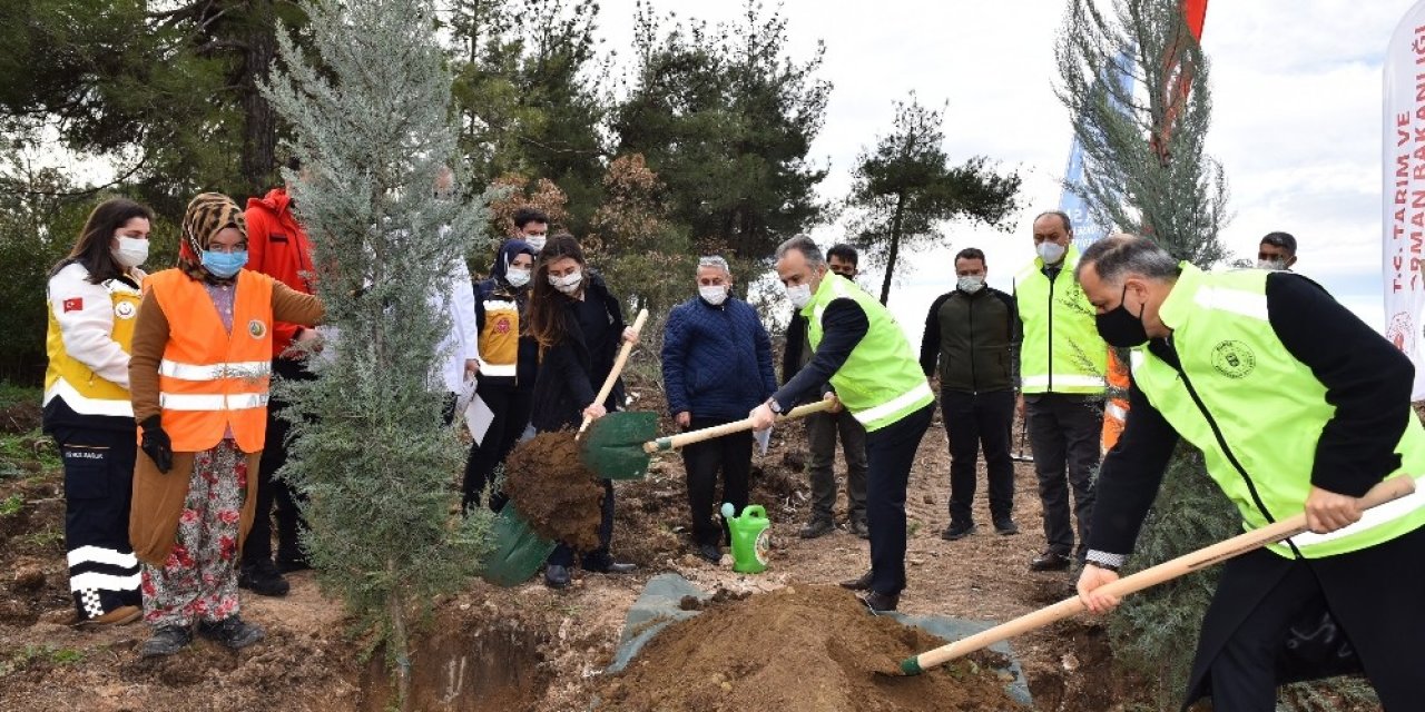 Sağlık Kahramanları Ormanı