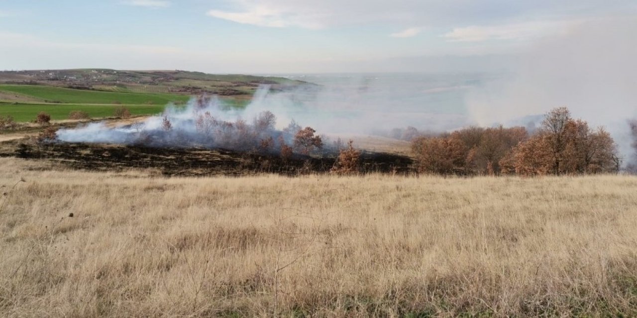 Tekirdağ’da Ağaçlık Alanda Yangın