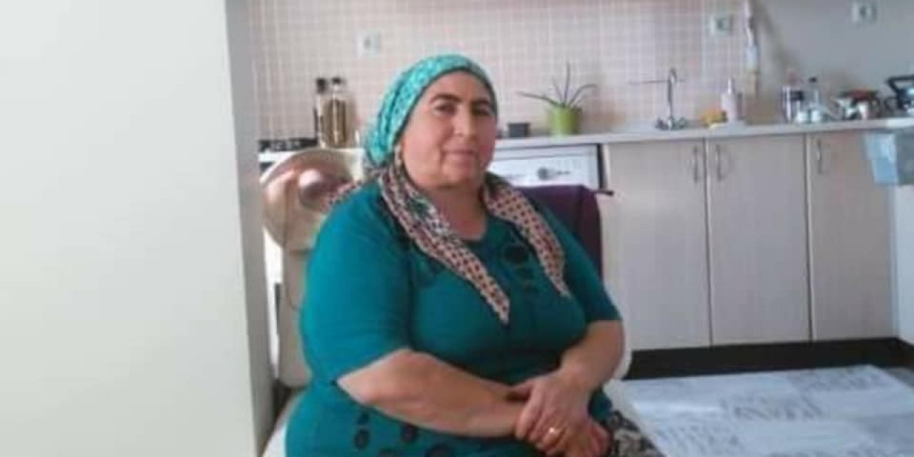 Domuzuna Çarpan Otomobil Devrildi, Ölü Sayısı 3’e Yükseldi
