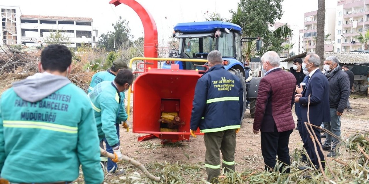 Budanan Ağaçlar Ve Biçilen Otlar Doğaya Gübre Olarak Geri Dönecek