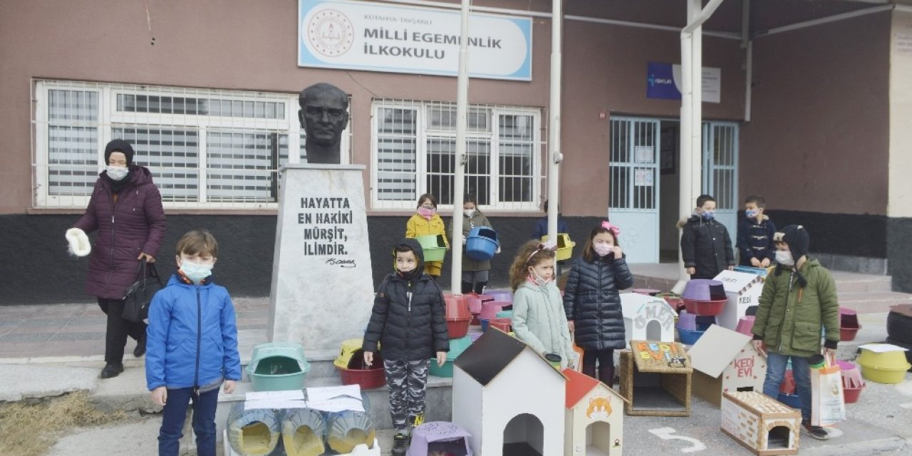 Öğrenciler Sokak Kedileri İçin 60 Yuva Yaptı