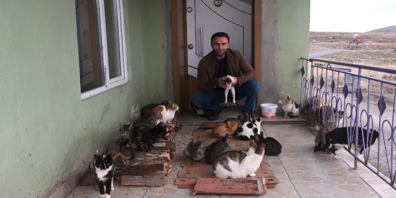Konya’da Yaklaşık 30 Kedi Besleyen İmam: "biz Onlara Baktıkça Huzur Bulduk"