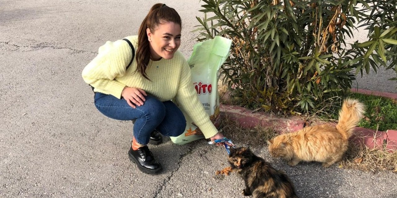 Zabıt Katibi Kedilerin Umudu Oldu