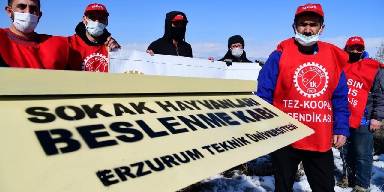 Tez-koop-i̇ş’ten, Etü’nün Sokak Hayvanlarına Yönelik Uygulamasına Destek