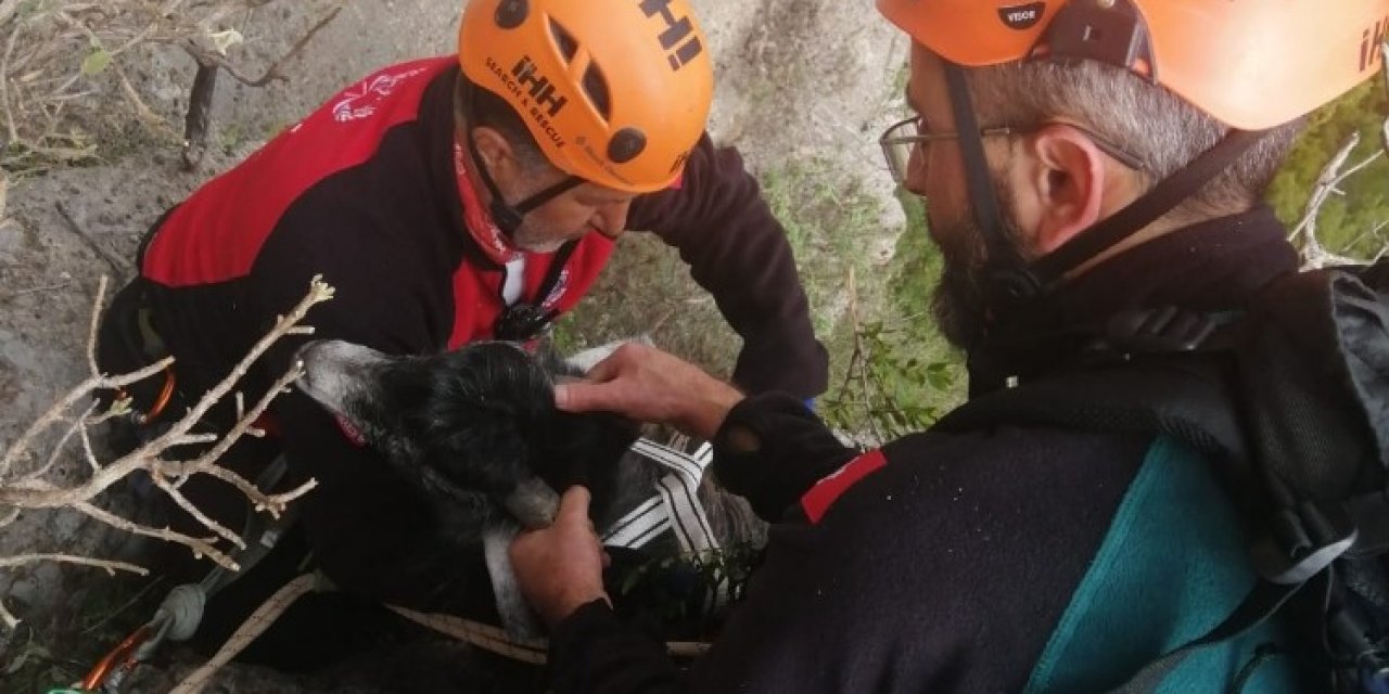 130 Metrede 1 Hafta Mahsur Kalan Keçi İçin Nefes Kesen Kurtarma Operasyonu
