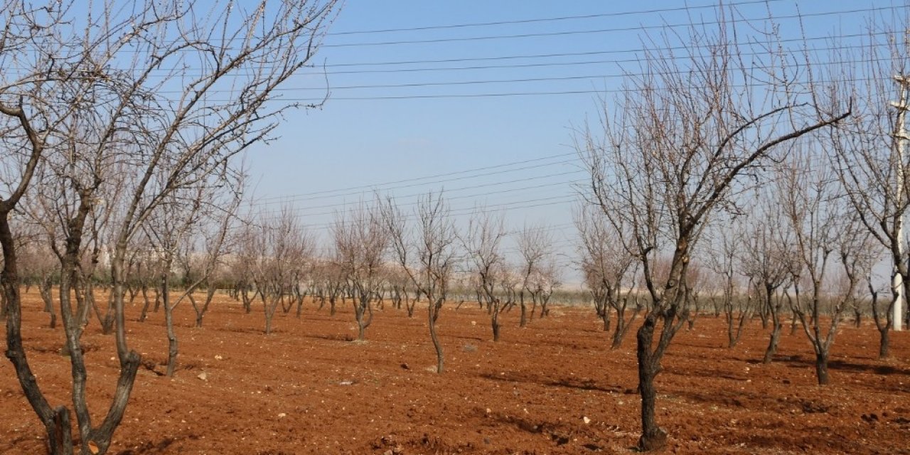 Hobi Bahçesi Proje Çalışmaları Devam Ediyor