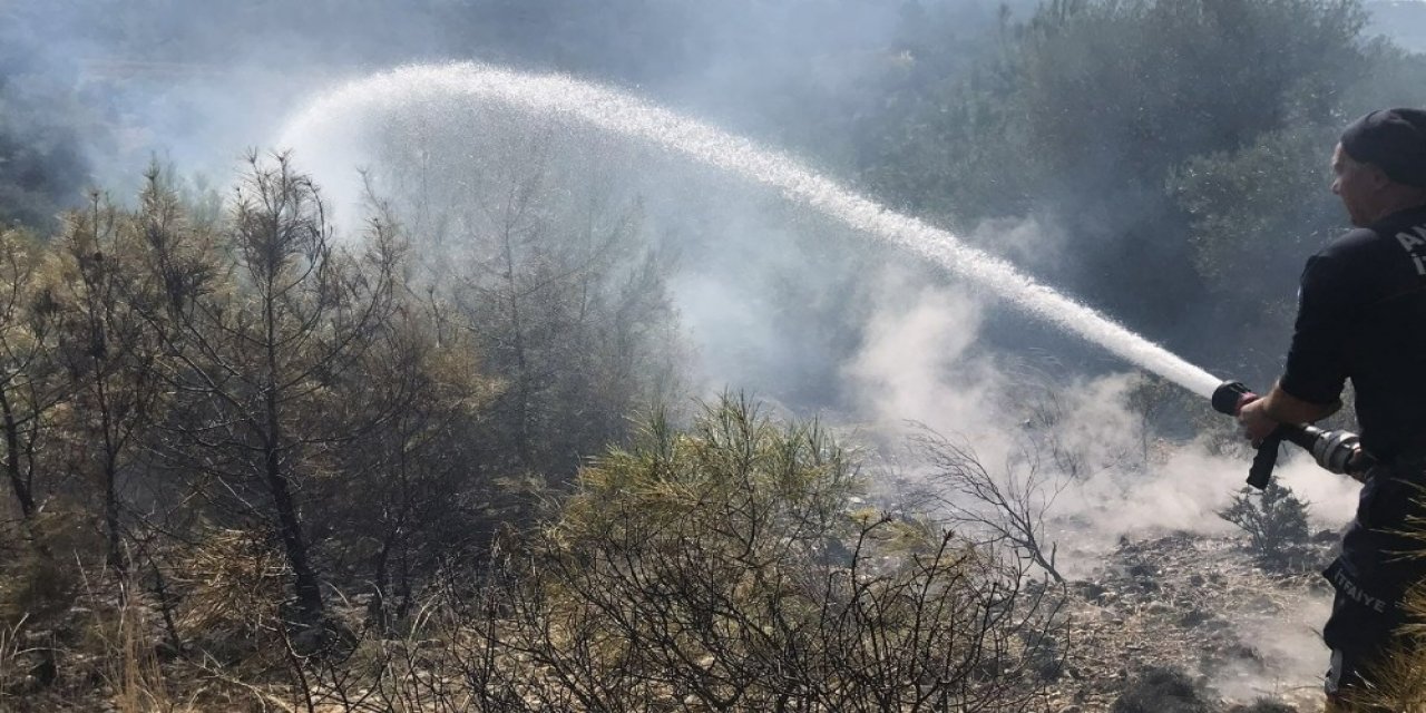 Manavgat’ta Kırsal Alan Yangını
