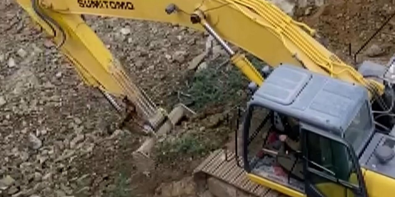 - 70 Yıllık Ağacı Kesip, Toprağın Altına Gömdüler