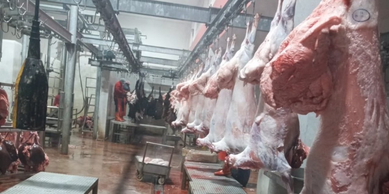 Iğdır’da Kesimhanelerde Denetim Yapıldı