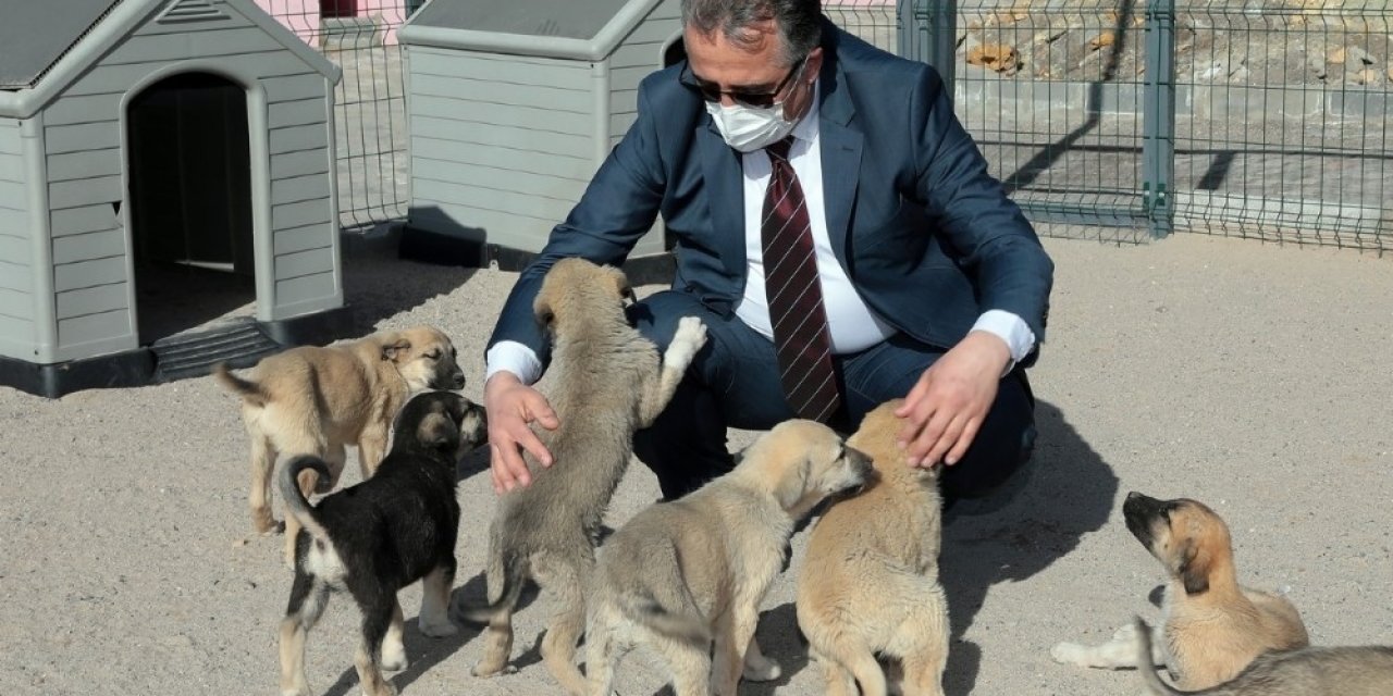 Başkan Savran, Hayvan Kasabasında İncelemelerde Bulundu