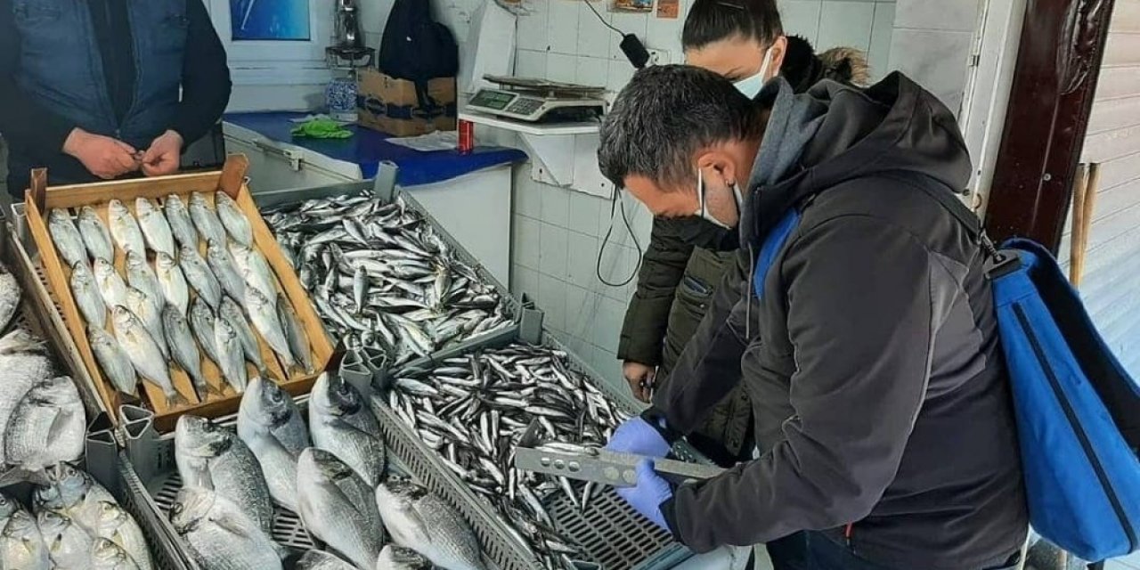 Balıklar Boy Boy Denetleniyor