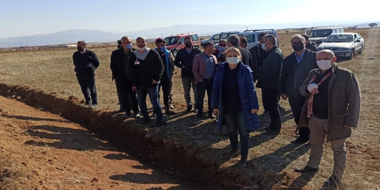 Tıbbi Ve Aromatik Bitkilerin Ekimi Yaygınlaştırılıyor