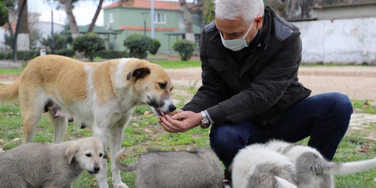 Saruhanlı’da Sokak Hayvanları İçin Yeni Beslenme Üniteleri