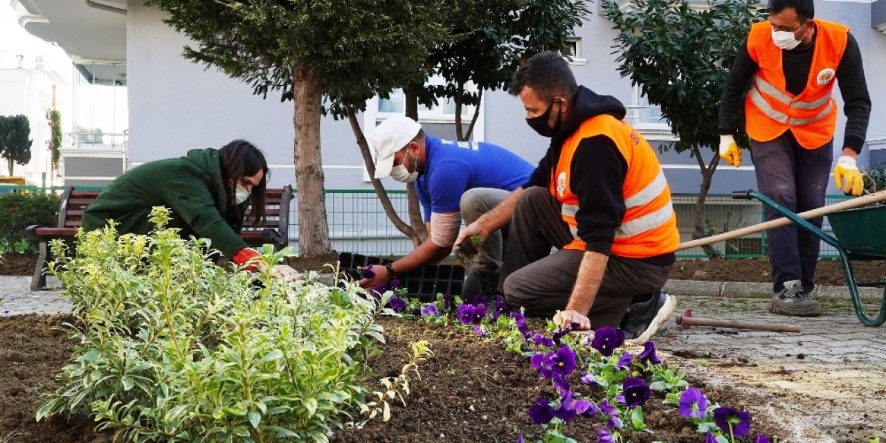 Atakum Belediyesi Kendi Serasında 200 Bin Çiçek Ve Çalı Üretti