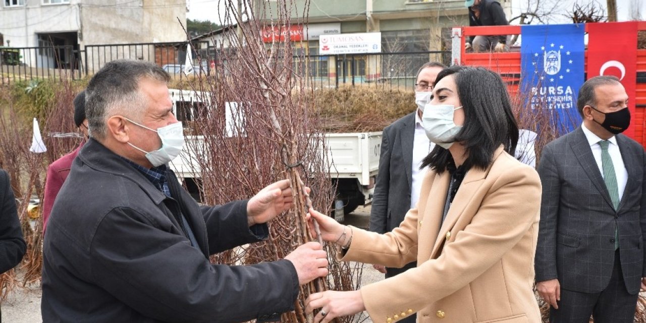 Toprak Büyükşehir’le Bereketleniyor