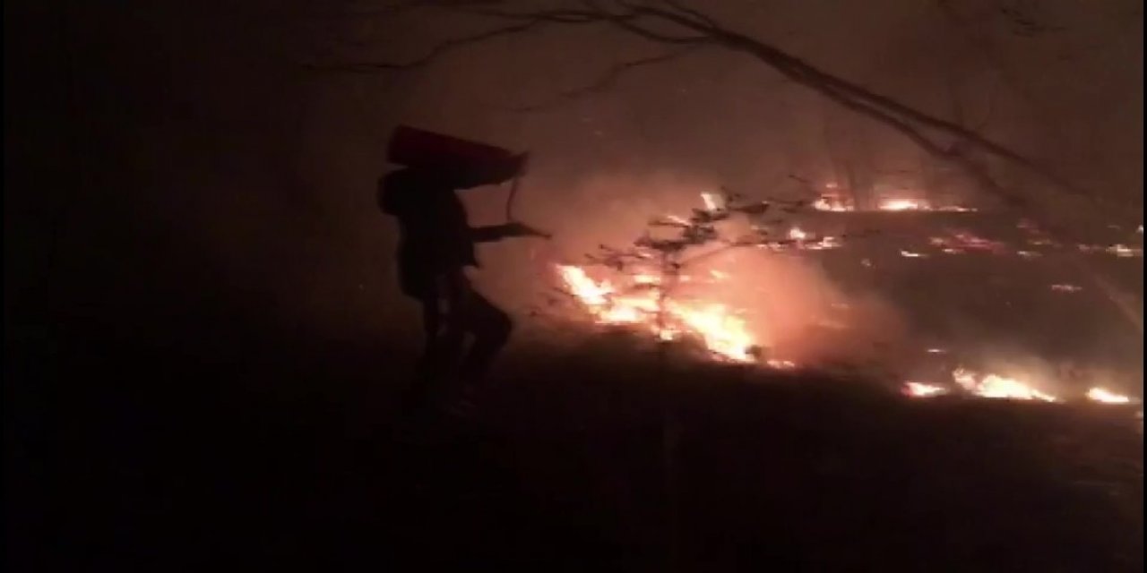 Düzce’de Orman Yangını