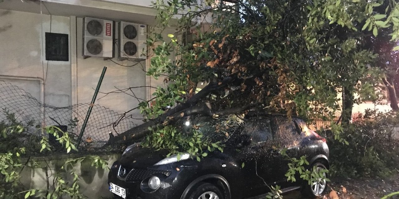 Kadıköy’de Şiddetli Rüzgarda Park Halindeki Otomobilin Üzerine Ağaç Devrildi