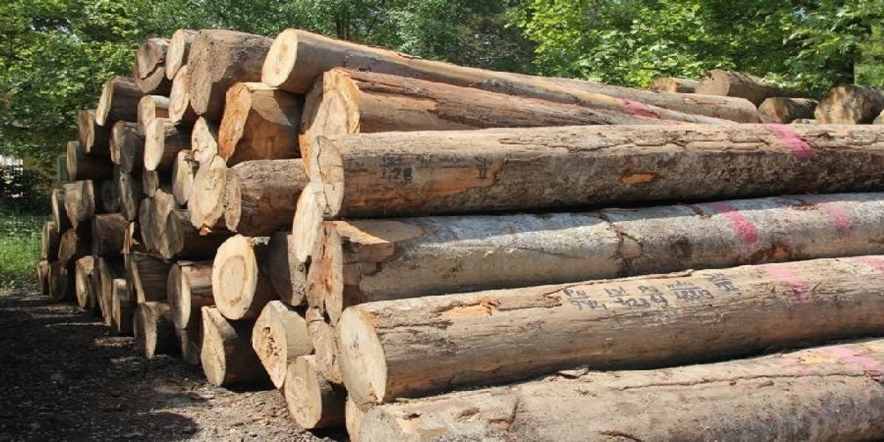 Yenice’de Orman Emvali Satışında Rekor Kırıldı