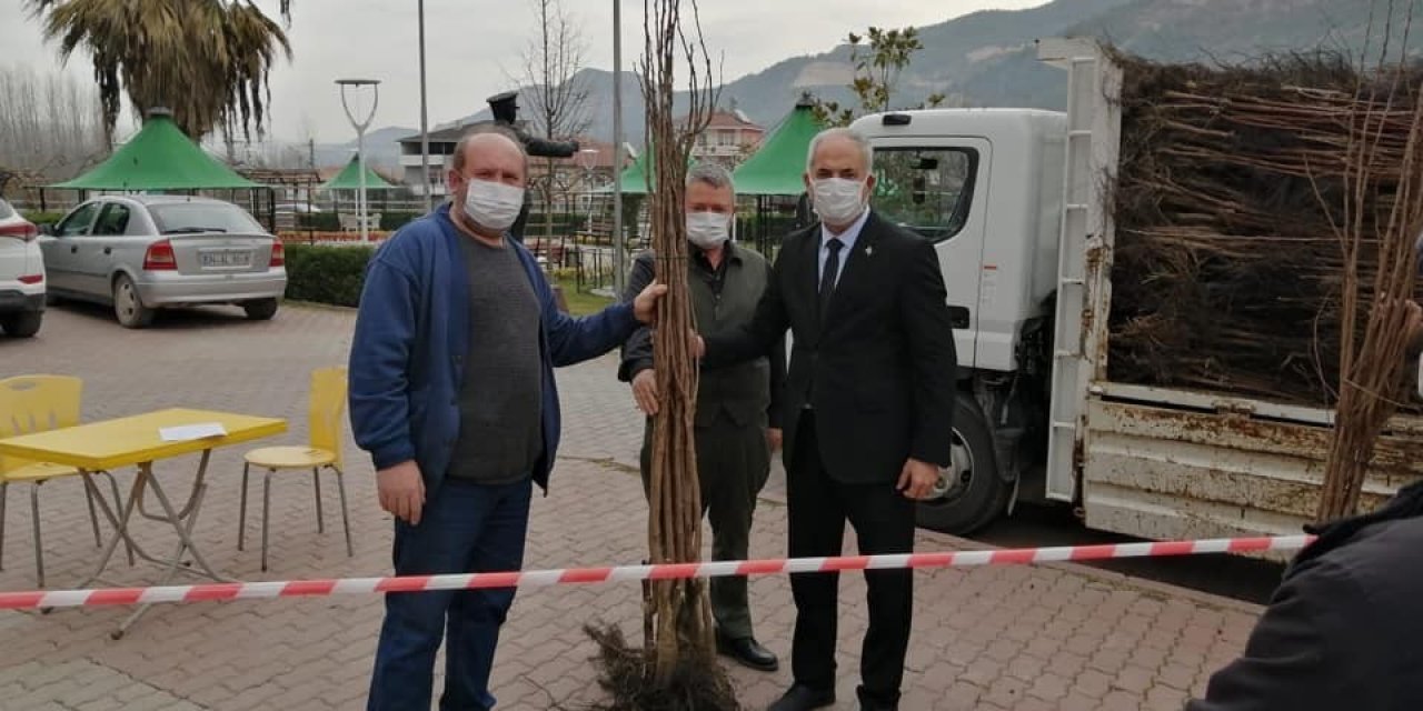 Vatandaşlara 3 Bin Adet Hurma Fidanı Dağıtıldı