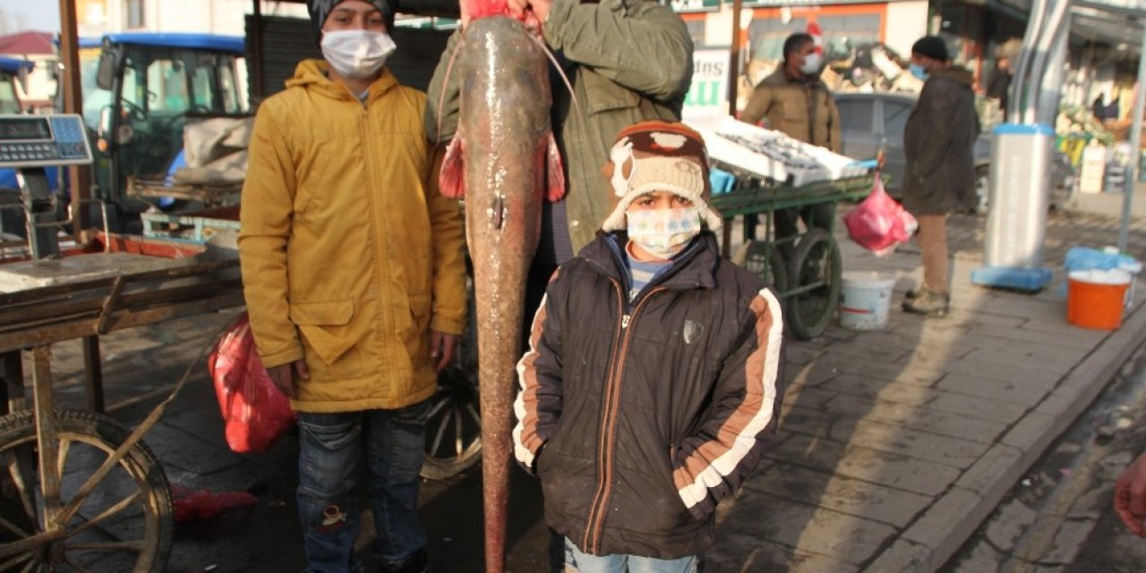 Murat Nehrinde 1,5 Metre Boyunda Balık Avladı