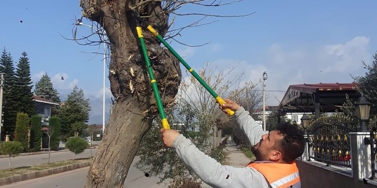 Döşemealtı’nda 120 Parkta Budama Ve Bakım Yapıldı