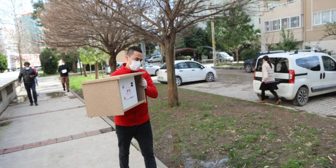 Bayraklı Belediyesinden Can Dostlara Yeni Yuva