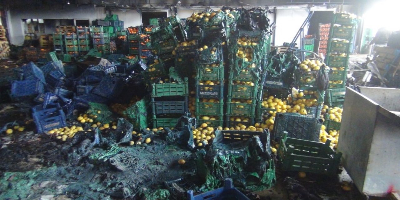 Antalya’daki Yangında 350 Ton Sebze Küle Döndü, 6 Milyon Zarar Var